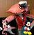 Robin Greene's profile image