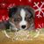 Karen Winston's profile image