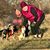 Jess Medura's profile image