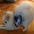 Rong Chen's profile image