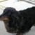 Karen Santore's profile image