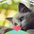 Imelda Martinez's profile image