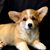 Kathy Ann's profile image