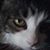 Judy Easley's profile image