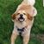 Karen Marquis Clark's profile image