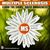 Shelli Steinmann Marple's profile image