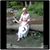 Kasey Lin Dolan's profile image