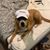 David W Sasser's profile image