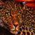 Kelly Arens-Whicker's profile image