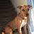 Lynn Rothstein Bennett's profile image