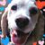 Al Crisfield's profile image