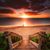 Toni Giammarusco-Quaresima's profile image