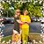 Robin Joi Mccarrel-Chiappetta's profile image
