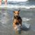 Piper Craig-Stork's profile image