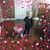 Amber Bouma's profile image