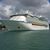 Cathy McNeish Deininger's profile image