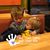 Tammy Gail Cobb Rich's profile image