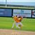 Kyle Starcher's profile image