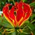 Takura Mak's profile image