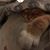 Audra Philhower-Mulholland's profile image