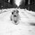 Kourtney Garno's profile image