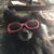 Shane Melnick's profile image