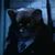 Redwood Townsel's profile image
