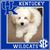 Kathy Burns's profile image