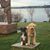 Rubin Dietz-Gilpin's profile image