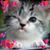 Julianna Bocelli's profile image