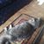 Laurie Jane Drake's profile image