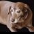 Jo Secoy's profile image