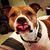 Chris Garra's profile image