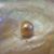 Beth Lambert's profile image