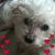 Vilma Laura Rubial's profile image