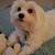 Carol A Schraeder's profile image