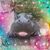 Carol Young's profile image