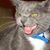 Monica Gongora Vanegas's profile image