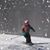 Maureen P Scholz's profile image