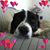 Lee Moore's profile image