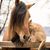 Lori Fischer-Cotner's profile image