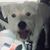 Norma Garcia's profile image