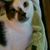Sandra Morrison's profile image