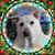 Kelly Roubo's profile image