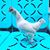 Amanda Tyrrell-Stewart's profile image