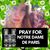 Angie Mary Amrhein's profile image