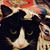Jules Rozella Gallagher's profile image