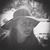 Amy Shultz Donaldson's profile image