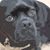 Kathy Komakowski Aske's profile image