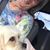 Nancy Sayles Kurlovich's profile image